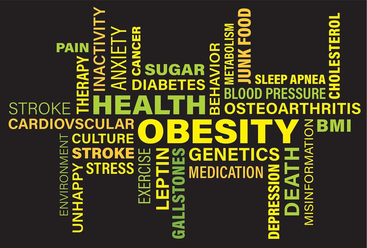 diabetes-causes-obesity